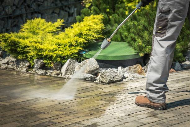Best Sidewalk and Walkway Cleaning  in Moenkopi, AZ