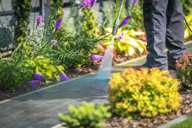 Professional  Pressure Washing Services in Moenkopi, AZ
